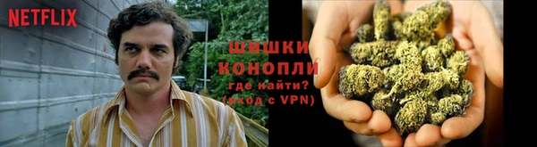 молекула духа Белоозёрский