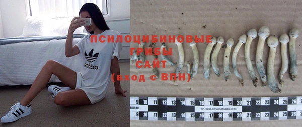 дживик Белокуриха