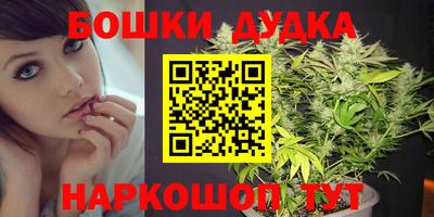 спиды Новозыбков