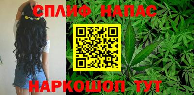 спиды Новозыбков