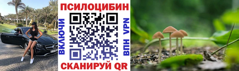 Псилоцибиновые грибы мухоморы  Гусев 